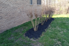 Screenshot-2026-03-10-142523