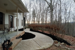 Screenshot-2026-03-10-142605