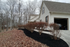 Screenshot-2026-03-10-142630