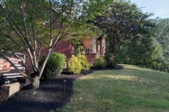 Screenshot-2026-03-10-142709