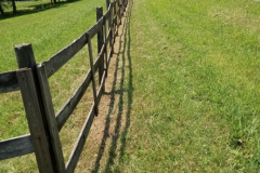 Screenshot-2026-03-10-142736