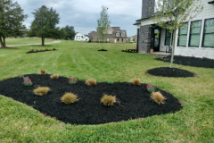 Screenshot-2026-03-10-142800