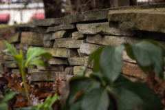 Screenshot-2026-03-10-143834