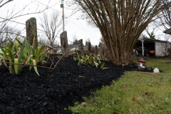 Screenshot-2026-03-10-143848