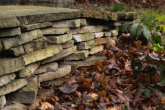 Screenshot-2026-03-10-143915