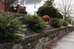 Screenshot-2026-03-10-143931