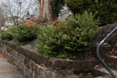 Screenshot-2026-03-10-143941