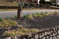 Screenshot-2026-03-10-144004