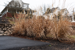 Screenshot-2026-03-10-144017