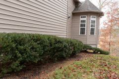 Screenshot-2026-03-10-144102