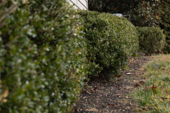 Screenshot-2026-03-10-144122