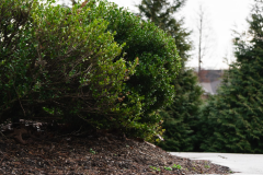 Screenshot-2026-03-10-144133