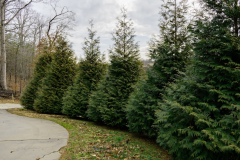 Screenshot-2026-03-10-144204