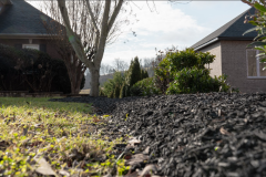 Screenshot-2026-03-10-144236