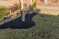 Screenshot-2026-03-10-144246