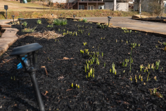 Screenshot-2026-03-10-144333