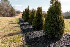 Screenshot-2026-03-10-144538