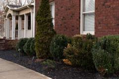 Screenshot-2026-03-10-144619